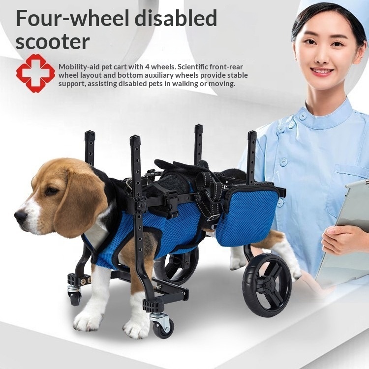 소형견 재활 훈련 보행 보조 접이식 4륜 전동 이동식  - Outdoor Power Wheels 리뷰 및 가격